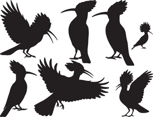 Hoopoe Silhouettes