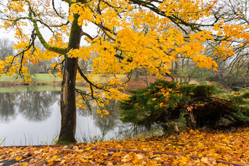 Autumn in Lake Sacajawea Park, Longview, Washington	