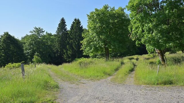 Weggabelung ein Schotterweg teilt sich in einem gr&uuml;nen, l&auml;ndlichen Gebiet unter einem blauen Himmel, Sommer, Fladungen, Hohe Rh&ouml;n, Rh&ouml;n, Rh&ouml;n Grabfeld, Bayern, Deutschland, Europa
