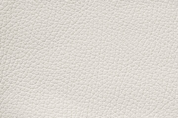 Fine Grain Leather Texture, color offers elegant minimal surface with soft tactile depth and modern clarity. Natural background with refined Cloud Dancer texture for clean stylish compositions