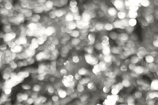 Soft grayscale bokeh lights create abstract glow on a calm background Demonstration Color of the Year 2026