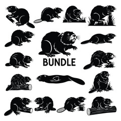 Beaver set illustration, stylized vector art with multiple poses and actions
