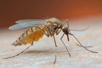 Electric bug zapper for summer outdoor use