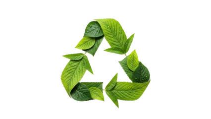 Green Recycling Symbol Made of Leaves - Eco-Friendly and Sustainable Environment Concept