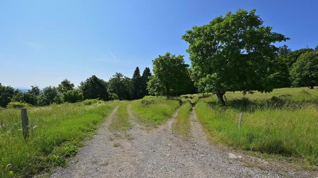 Weggabelung ein Schotterweg teilt sich in einem gr&uuml;nen, l&auml;ndlichen Gebiet unter einem blauen Himmel, Sommer, Fladungen, Hohe Rh&ouml;n, Rh&ouml;n, Rh&ouml;n Grabfeld, Bayern, Deutschland, Europa