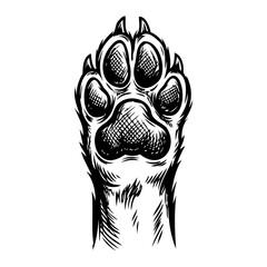 Hand drawn doodle of animal foot print