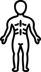 Human Anatomy Medical Illustration Educational Healthcare