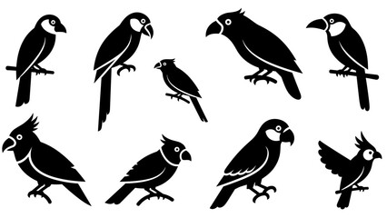 Naklejka premium Collection of black bird silhouettes in various poses and species, including parrots, toucans, and cardinals, presented as a simple graphic icon set for nature and wildlife themes