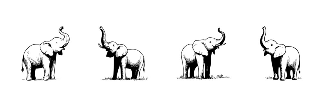 Elephant Doodle Sketch Set. Wildlife And Nature Conservation In Hand Drawn Style Collection. African And Asian Elephant Illustrations. Isolated Vector Illustration - Powered by Adobe
