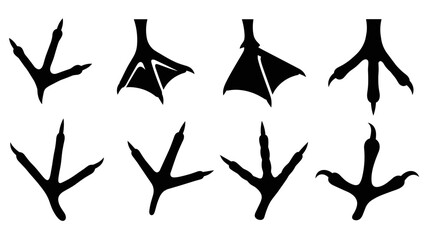 Collection of black bird footprint silhouettes showing different types of animal tracks, including webbed feet and sharp talons, in a clean graphic illustration style