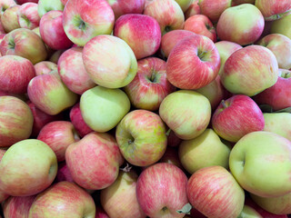 Bulk farm fresh apples ready for shipment and sale in agricultural supply chain