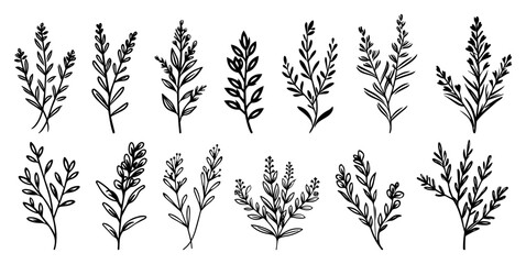 Set of hand drawn vector floral elements and wild herbs collection of botanical sketches featuring thin branches with leaves and wildflowers for rustic design