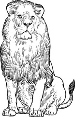 Vintage hand drawn sketch of sit lion