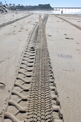 tracks in the sand