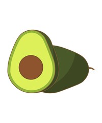 avocado icon, fruit illustration, White Background 