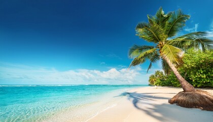 best travel landscape paradise beach tropical island background beautiful palm trees closeup sea waves sunshine blue sky clouds luxury travel summer vacation website design zen inspire wallpaper