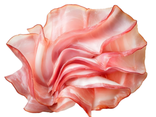 Realistic depiction of several thin slices of fresh ham neatly arranged in an overlapping pattern showcasing delicate texture and marbled fat isolated o