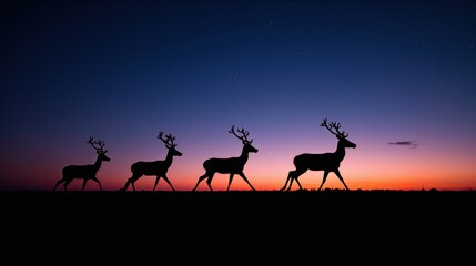 Silhouetted reindeers walking across a dark landscape, beneath a starry twilight sky.