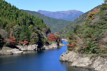 木の根三里橋から平家平を眺める　（高知県）