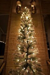 Elegant Christmas Tree with White Lights