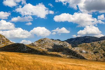 Obraz premium Scenic summer landscape of Durmitor National Park in Montenegro, Europe 