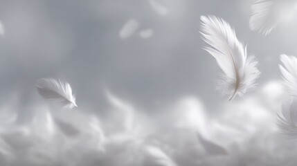Obraz premium Ethereal White Feathers Gently Floating Against a Soft Gray Background for Tranquil and Serene Visual Themes in Nature and Beauty