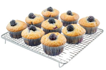 Homemade baked fresh blueberry muffins on a wire rack Tasty pastry sweet cupcake dessert Berry pie cupcakes with organic berries Gluten free healthcare
