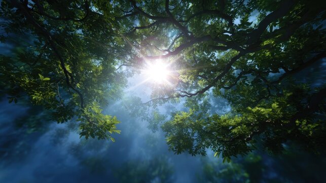 Sunlight breaking through dense tree canopy in a tranquil forest with vibrant green leaves and soft ethereal light creating a serene atmosphere