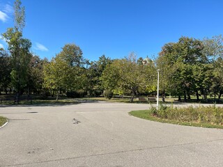 Park Pathway With Trees and Benches