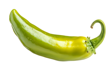 sweet green pepper paprika isolated on white background clipping path full depth of field