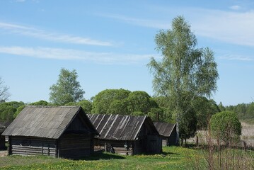 Rustic Wooden Sheds in a Green Field under Blue Sky