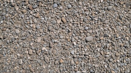 Natural Exposed Aggregate Pebble Concrete Texture