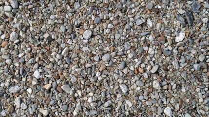 Natural Exposed Aggregate Pebble Concrete Texture