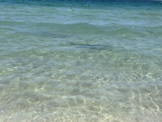 Obraz premium Clear Water Over Sandy Bottom with Shadows of Fish Swimming Below