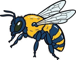 Obraz premium Honey bee vector illustration cartoon insect drawing graphic element isolated on transparent background, Vector