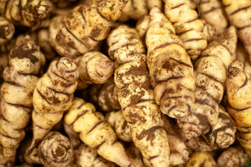 Andean cubios in horizontal close-up