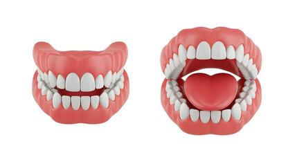 Naklejka premium This captivating image showcases a set of dentures, perfect for dental clinics and educational materials, highlighting oral health and restoration needs.