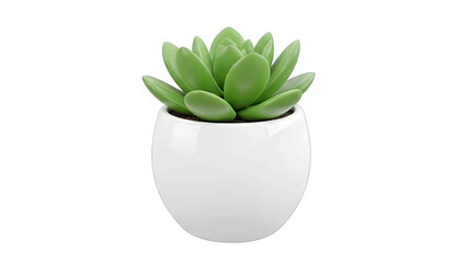 A Healthy Green Succulent Plant in a Smooth White Ceramic Pot on a Transparent Background