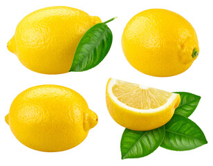 Four yellow lemons with green leaves, one cut, on black background