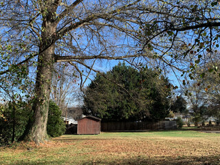 NC Cornelius Field with Barn and Dead Leaves 2025