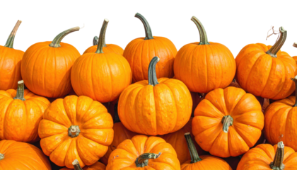 Arrangement of Bright Orange Pumpkins on a Transparent Background Emphasizing Autumn Harvesting