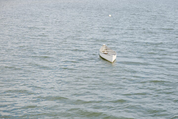 Small White Boat Floating on Calm Water, Seaside Scene with Gentle Waves in Gulfport, FL.
Sea water, reflecting soft light. The scene conveys solitude and peacefulness, ideal for travel, coastal lifes