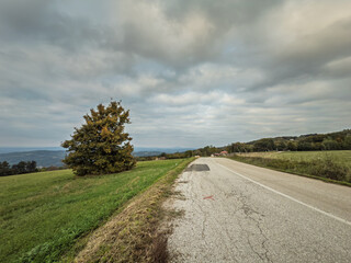 Two lane road on Vrh Rajac, Serbia, runs through open fields with a solitary tree and distant hills. Rajac is a mountain of Sumadija, part of dinaric alps, a serbian natural touristic destination.