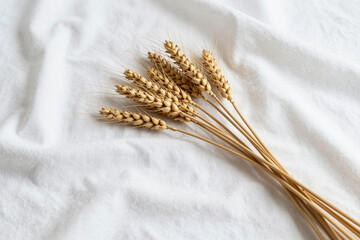 A bundle of dried golden wheat stalks arranged on a soft white fabric background