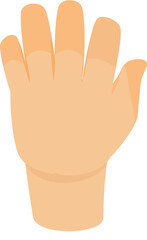 Back of hand illustration