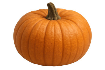 Orange pumpkin vegetable standing upright, essential for fall season, delicious food, and decoration. Transparent background