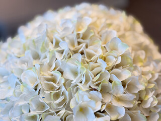 tightly-cropped, close-up photograph showcasing a dense spherical arrangement of white and creamy yellow flowers, likely artificial hydrangeas or similar decorative blooms.