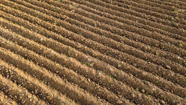 Detailed Aerial View Of Cloddy Soil Texture In A Recently Tilled Farm Field Waiting For The Planting Season To Begin