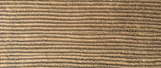 Horizontal Orientation Of Straight Furrows In A Cultivated Field Providing A Neat And Organized Background Image For Farming Topics