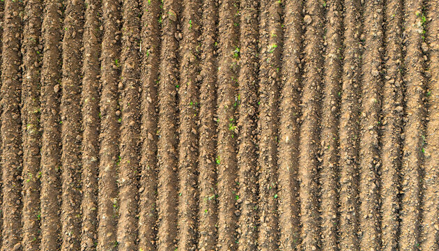 Vertical Lines Of A Plowed Field Filling The Frame Seen From Above Symbolizing The Cycle Of Agriculture And Food Production